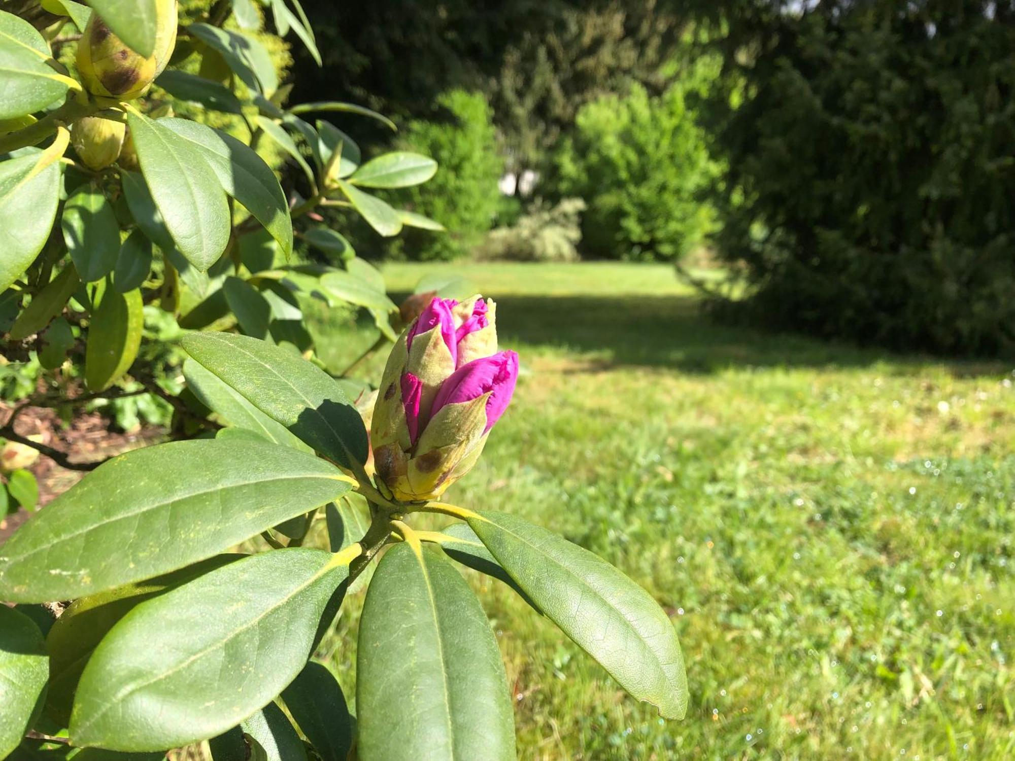 Idas Garten Bad Lauterberg Bagian luar foto